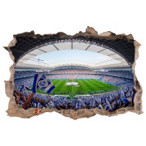 Vinilos y pegatinas 3d real sociedad estadio de fútbol reale arena